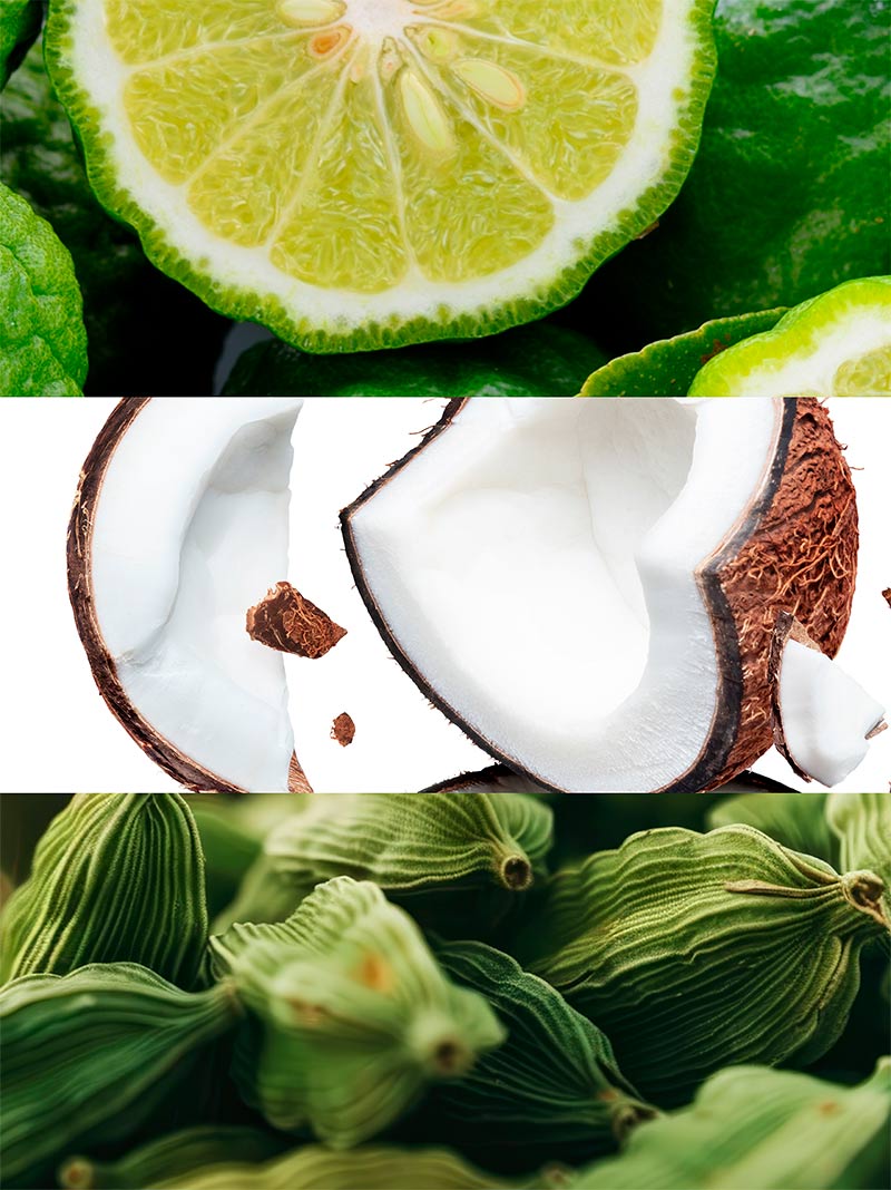 White Summer