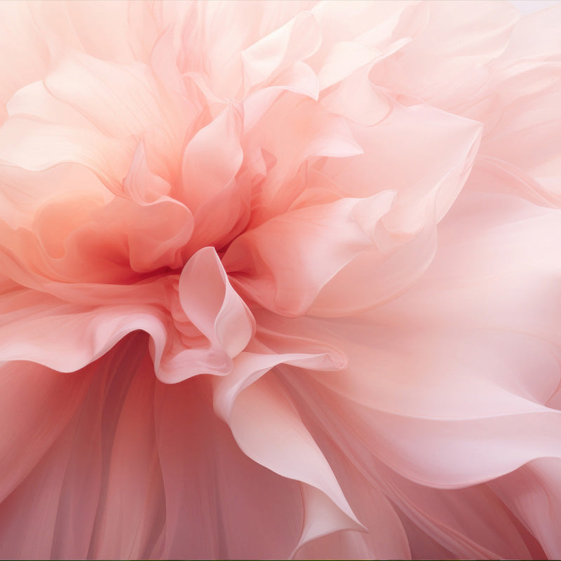 rosa-salida
